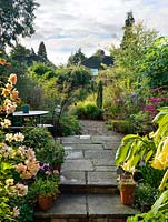 An autumn town garden with stone patio and large informal borders of perennials and grasses with yew and box structure. Rosa 'Lady Hillingdon' and Datura frame the view.