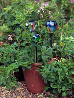 Glass garden ornaments in a terracotta pot.