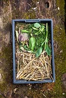 Showing material suitable for adding to a compost heap