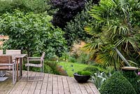A raised wooden deck with garden furniture for outdoor dining. Surrounding planting includes Ficus carica Brown Turkey, Trachycarpus fortunei palm with Festuca gautieri in a small black modern container.