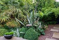 A bird bath in the middle of a border with lush Australiasian inspired planting including Trachycarpus fortunei palm, Phormium tenax, Dicksonia antartica and Buxus sempervirens topiary. Stepping stones on gravel lead to a secret path that lead to the play area at the back of the garden.