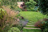 Steps planted with chamolie lead onto an oval shaped lawn in a terraced split level garden. Planting includes Dechampsia Bronzeschlier and Echinacea Double Pink Delight 