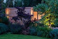 A modern garden office at night, set behind a mixed border with Cercis siliquastrum lit from below