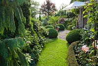 Grass path in summer garden with borders of perennials, shrubs, roses and box topiary. Marina Wust, Germany