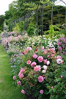 Rose border. The Italian Garden, Trentham Hall Gardens, Staffordshire.