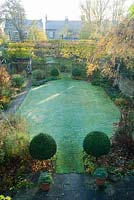 Overhead view of formal town garden in autumn with box topiary, pleached field maples and Betula pendula 'Youngii'. 