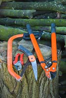 Tools for pruning trees and shrubs. Bow saw, secateurs, folding pruning saw, long handled pruners