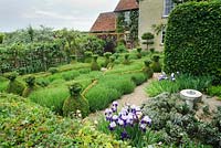 Knot garden with lavender and box. Rectory Farm, Orwell, Cambridgeshire