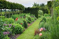 Twin herbaceous borders with oriental poppies and alliums. Raised hornbeam hedge. Rectory Farm, Orwell, Cambridgeshire
