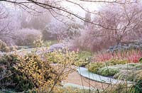 Winter garden. Cambridge Botanic Gardens.