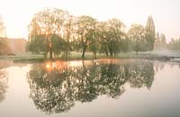 Misty morning in spring with sun rising behind Weeping willows. The Mill Pond, Cambridge
