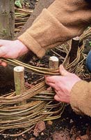 Man weaving willow stems onto hazel pegs to form edging