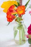 Cut flower arrangement with orange freesias