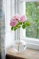 An arrangement of David Austin roses by Shane Connolly.