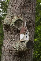 Wood and metal birdhouse placed on a Pinus - Pine tree branch in backyard country garden in summer, Quebec, Canada