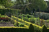 Hazel arch in a vegetable patch