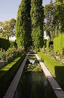 Water fountain and basin with Nymphaea - Water lily, bordered by Thuja - Cedar tree hedges and topiary in ornamental garden at the Alhambra palace in late summer, Granada, Spain