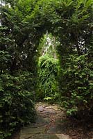 Flagstone path and natural archway through Thuja occidentalis - Cedar tree hedge in private backyard country garden in summer, Quebec, Canada