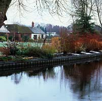 Garden with Cornus stems seen across Worcestershire Canal 