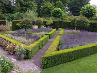 Parterre. 4 triangular beds edged in box hedges. Iliex aquifolium -  holly standards and lavenders - L. angustifolia 'Hidcote', 'Folgate', 'Rosea' and L. x chaytorae 'Richard Gray'.