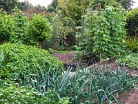 Kitchen garden of raised beds planted with runner beans trained over a metal frame, potatoes, leeks, carrots and sweet peas growing up a twig support.