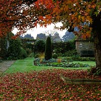 Seen beneath canopy of Liquidambar styraciflua Worplesdon with carpet of leaves on lawn, arch in wall, yew column, mahonia, box balls, ferns and bench. View of church.