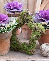 Moss wreath with ornamental cabbages