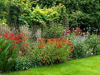 A late summer perennial border planted with Echinops 'Nivalis', Crocosmia 'Lucifer', Echinacea 'Magnus', Helenium 'Moorheim Beauty' and Eupatorium 'Atropurpureum'. Behind, a wooden pergola supports succession of roses, clematis, golden hop and vines.