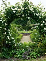 Rosa 'City of York' - covering moongate. View through to lily pond with sculpture and box edged beds 