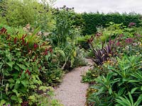 A narrow path running through dense mixed borders planted with Geranium, Persicaria, Euphorbia, Cynara and Trachycarpus with a tall protective hedge behind.