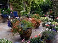 A rear garden with large patio decorated with annual containers. Plants include Lobelia, Diascia and Pelargoniums.