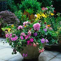 Large container planted with pelargonium, fuchsia, petunia and busy-lizzies against backdrop of lilies, canna and hosta.