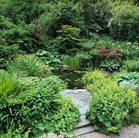 Cut into steep hill, wildlife pond enclosed in Japanese acers, Gunnera manicata and mixed planting 