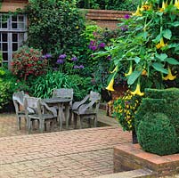 Seating area on brick terrace. Box peacock topiary, Brugmansia x candida and Tibouchina urvilleana. Pots of fuchsia and Agapanthus 'Purple Cloud'.