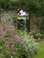 Gateway in old flint wall frames view of countryside beyond, seen over Geranium maderense, sweet rocket and marsh valerian.