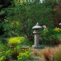 Japanese stone lantern is focal point in gravel bed planted  Festuca glauca, Carex comans, Hakonechloa macra, euphorbia, Corydalis flexuosa and contorted hazel.