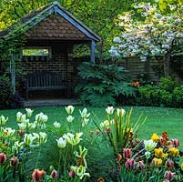Bed of Tulipa 'Spring Green' and 'Artist', summerhouse with mirror and bench. Rheum and Japanese cherry above euphorbia.
