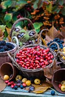 Baskets filled with rose-hips, crab-apples, blackberries, sloes and sweet chesnuts foraged in autumn.