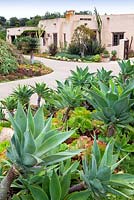 View of contemporary house and drive with mixed beds and borders containing succulents and  cactus. Suzy Schaefer's garden, Rancho Santa Fe, California, USA