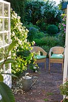 Conservatory leading out to patio in rose garden with wicker chairs and Rosa 'Madame Hardy'