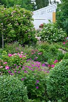 Rose garden with Rosa 'Ispahan', Rosa 'Madame Hardy', mixture of geraniums, Rosa 'Mundi'