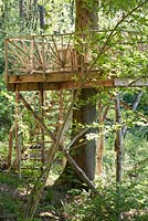 Tree house or viewing platform in woodland garden