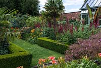 The walled Exotic Garden at Abbeywood with a grass path between box edged borders planted with Lobelia tupa, Geranium maderense, Dahlia and Hemerocallis with Trachycarpus fortunei palms.