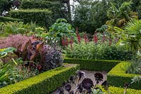 The Exotic Garden at Abbeywood with box edged borders planted with Lobelia tupa, Geranium maderense, Dahlia and Canna, Paulownia, Aeonium and Trachycarpus fortunei palms.