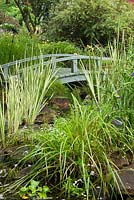 Grey painted wooden footbridge with Acorus gramineus 'Variegatus' - Ornamental Grass plants, purple Tradescantia - Spiderwort flowers in backyard country garden in summer, Quebec, Canada