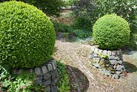 Stone built raised beds are planted with clipped box framing a brick path into Tiara garden. Caervallack Farm, St Martin, Helston, Cornwall, UK