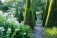 The Well Garden with tall yew spires, central reflecting pool, and planting including white phlox and Cornus controversa 'Variegata'. Wollerton Old Hall, nr Market Drayton, Shropshire, UK