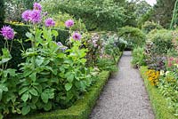 The Long Walk with box edges beds containing phlox, dahlias and asters with arches supporting clematis. Wollerton Old Hall, nr Market Drayton, Shropshire, UK
