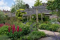 A wooden pergola supporting wisteria, underplanted with Rosa 'Charles de Mills', lupinus, Achemilla mollis and Nepeta 'Six Hills Giant'.