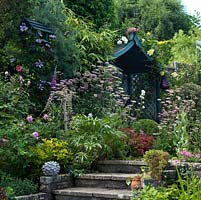 A secluded covered seat surrounded by cottage garden style planting, including Pimpinella major Rosea, Rosa mundi, Clematis, Digitalis, Papaver and Helleborus foetidus.